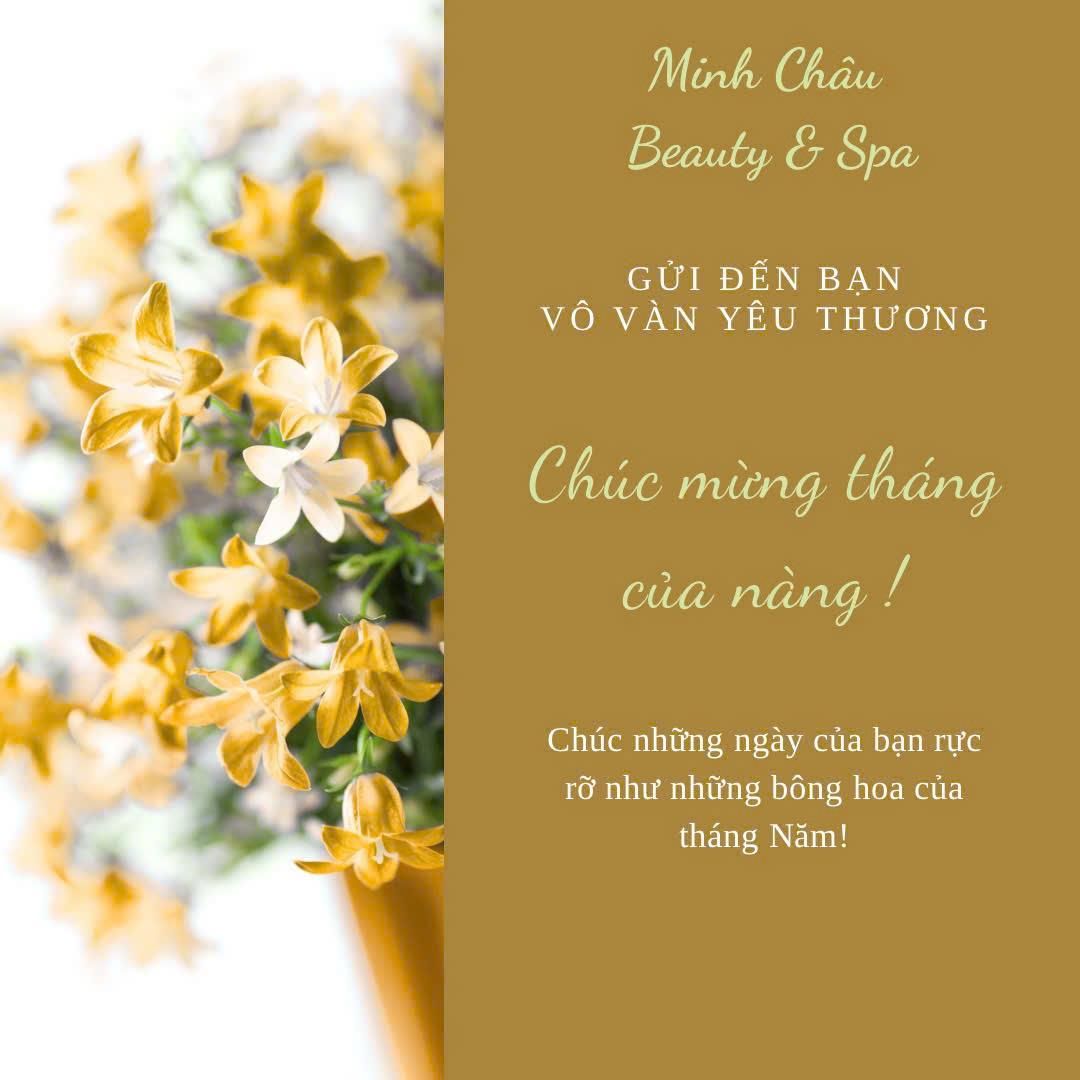 web.banner2